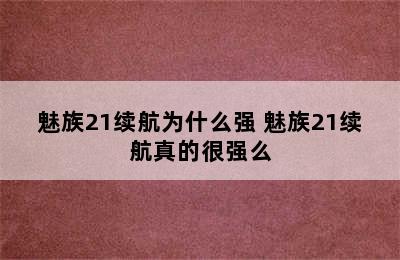 魅族21续航为什么强 魅族21续航真的很强么